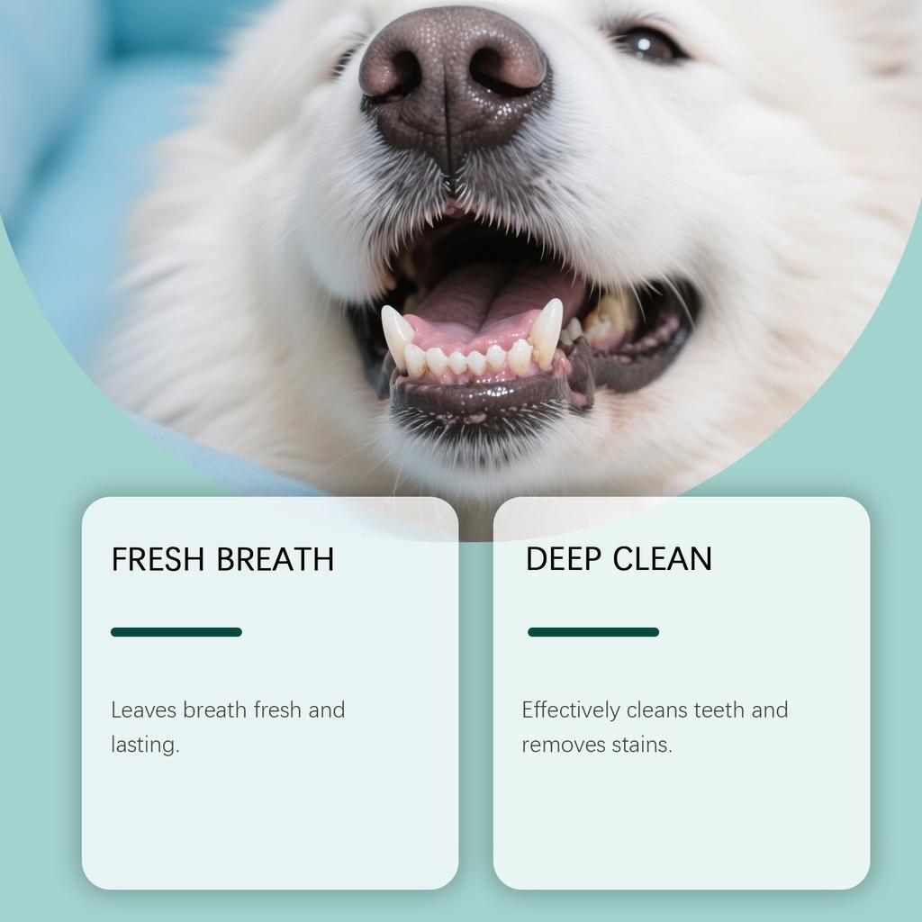 Dog Care Powder - Gentle The Skin, Suitable For Daily Cleaning And Care Of Dog And Pet Teeth.