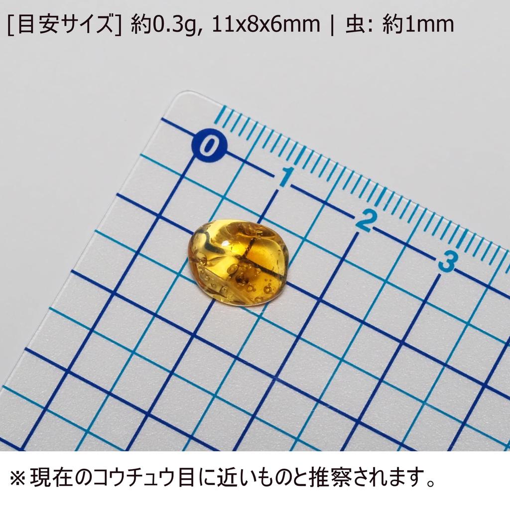 Stone Natural Fossil Amber with Insect Specimen of a 11x8x6mm [N2 Natural] - (35 "One Kind" [Amber Approx. 0.3g, Insect Approx. 1mm])