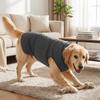 Pet Supplies Elastic Dog Anxiety Vest Reflective Warm Dogs Calming Jacket Soft Windproof Pet Anti-Scare Pullover Rainy Day