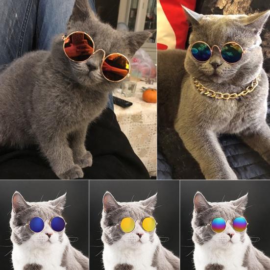 Pet Glasses Mini Clear AC Fashion Cat Sunglasses for Taking Photos