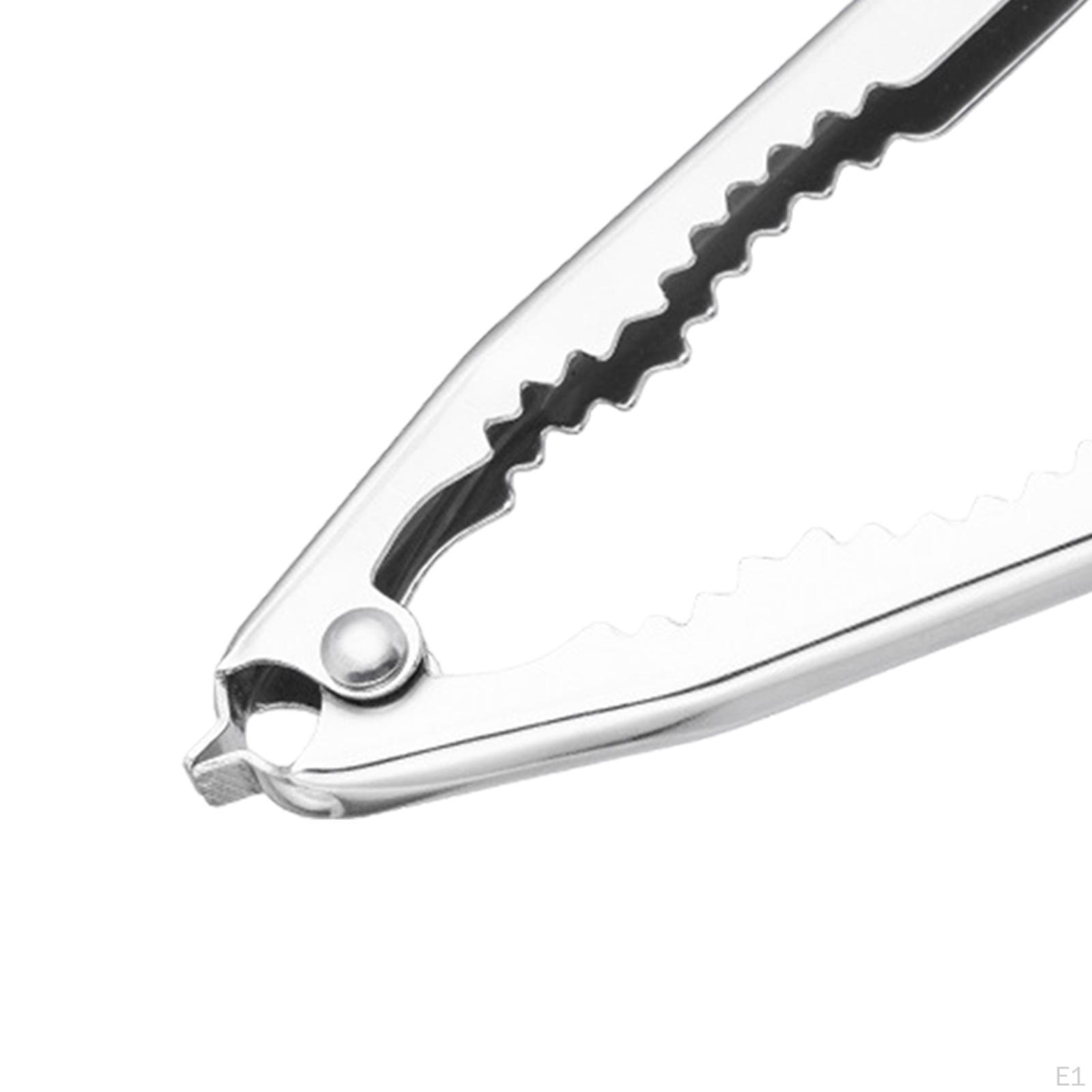 Cale Huitre Bois 1 Pc Couteau à Huîtres En Acier Inoxydable Ouvre