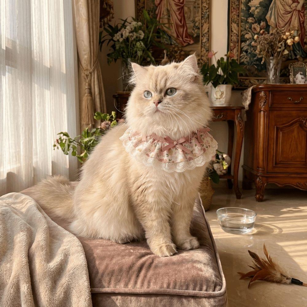 Cartoon Knitted Collar Lace Floral Bows Pet Bib Cute Cat Clothes  Cat Accessories