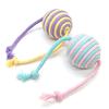 Sisal Balls for Cats Teasing Indoor Exercising Enrichment Cats Chew Toy Hunting Teething Cats Teasing Supply 6PCS