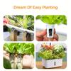 20pcs Sponge Seedling , Rooting Plugs For Seedlings Or Cuttings