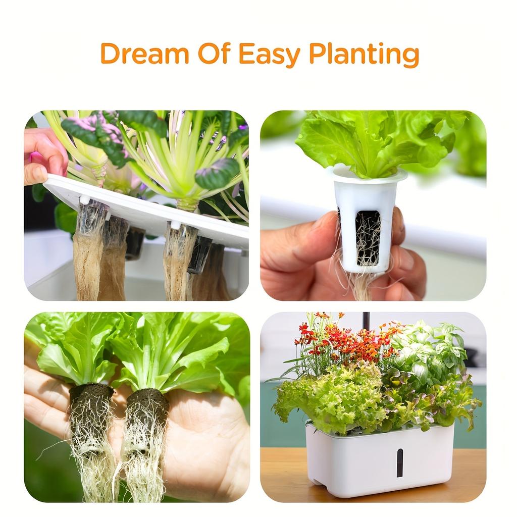 20pcs Sponge Seedling , Rooting Plugs For Seedlings Or Cuttings