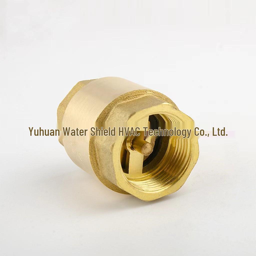 High-Quality Brass Vertical Check Valve - Female Thread, Backflow Preventer, Thickened Copper One-Way Water Pipe Valve