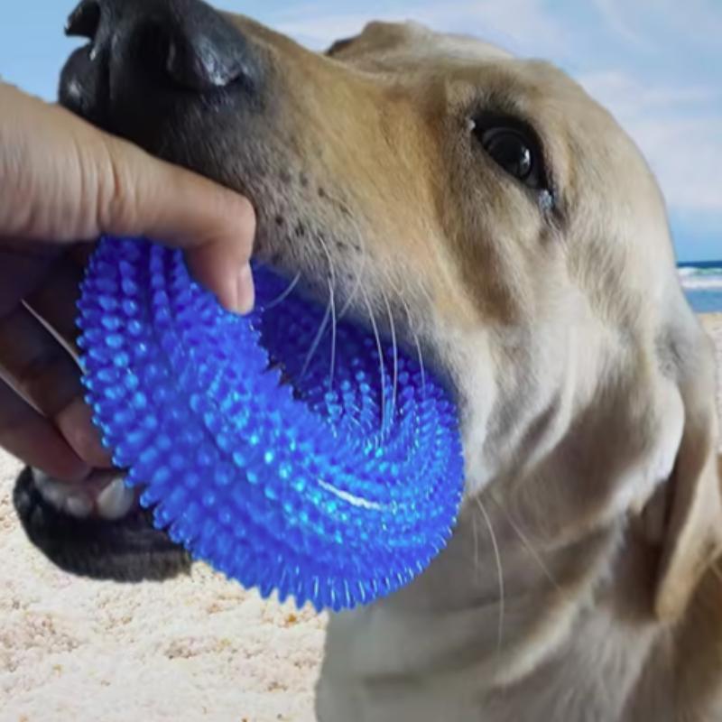Quietschendes interaktives Kauspielzeug für Hunde, Welpenbissresistentes, dornen- und stacheldrahtbewehrtes Zahnreinigungsspielzeug aus TPR-Backenzahn-Kauspielzeug für Hunde