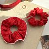Accesorii pentru păr – Benzi de păr pentru doamne