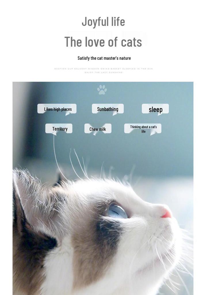 Winter Sunbathing Cat Hammock: Hanging Bed with Suction Cups for Balcony Window