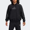 Sweatshirts Men's Black Hooded Moderate Regular FR5736