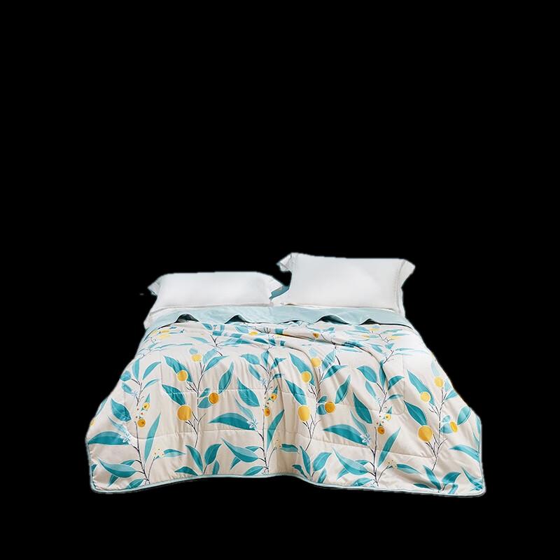 Luolai Super Soft All-Season Quilt