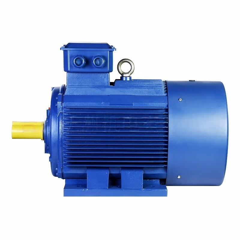 

Gongli YE3 Dual-Speed Three-Phase Induction Motor CN plug (adapter included)