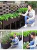 Modular Planting Box for Vegetables, Seedlings, Flowers, and Trees – Ideal for Balcony or Greenhouse Use
