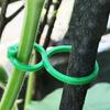 Plant Support Clips for Climbing Plants Reusable Gentle Plant Ties Garden Vine Support Clips for Indoor Outdoor Gardening or Plant Organization