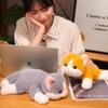 Adorable Realistic Plush Cat Doll Soft Sleeping Companion For Kids Gift In Yellow White Gray And Black Colors