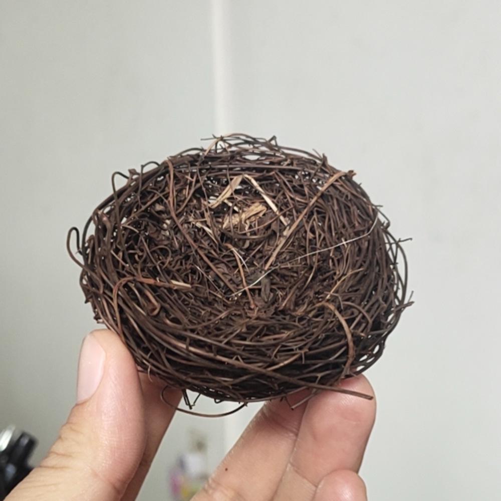 Chick Family Nest: Hen & Egg Figurine for DIY Micro Landscape Gardening