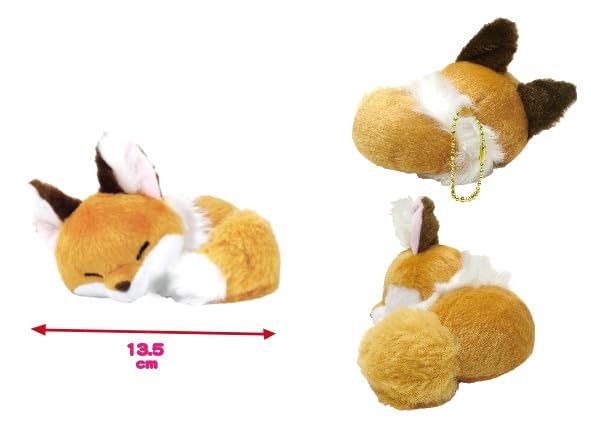 Chokon und der schläfrige, zusammengerollte Fuchs LMC kinako 705035