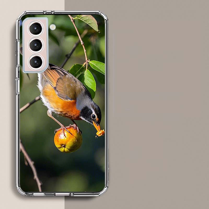 

Robin Bird Phone Case For Samsung Galaxy S25 Edge S24 S23 FE S21 S20 S10 Plus S22 S26 Ultra Cover Clear Cases TPU Capa Shell Coq Samsung S10 PLUS