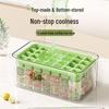 Ice Cube Maker Set with Storage Box & Scoop