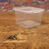 Klare Kunststoff-Reptilien-Lebensbox Insektenzucht Futterfütterung Reptilien-Lebensraum Baumbewohnend Ausbruchsicher Reptilien-Terrarium