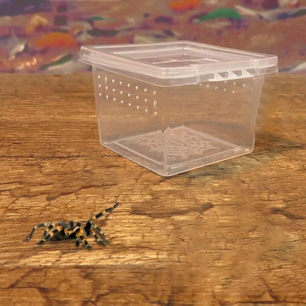 Klare Kunststoff-Reptilien-Lebensbox Insektenzucht Futterfütterung Reptilien-Lebensraum Baumbewohnend Ausbruchsicher Reptilien-Terrarium