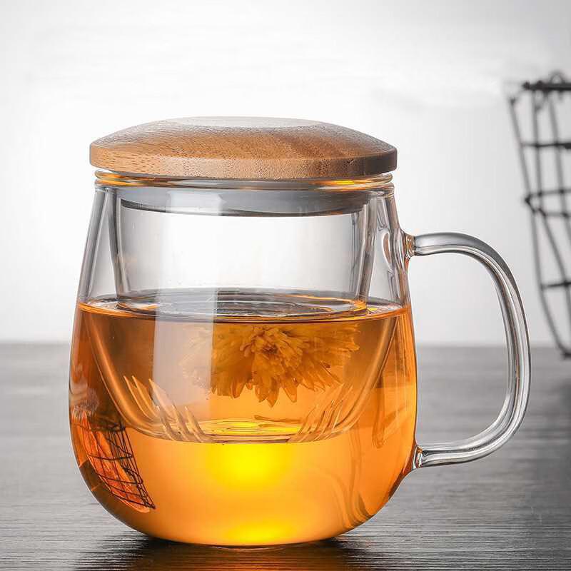 Heat-Resistant Glass Teacup with Infuser & Handle