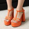 Roman Style Ankle Buckle T-Shaped Slim Strap Women's Sandals Slim Strap Combination Simple And Sexy Fashion Sandals