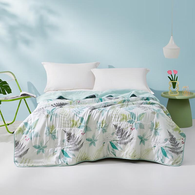 

Luolai Ultra-Soft Washable Anti-Mite Summer Comforter