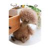 Stuffed Duck Toy Duck Cute Duck Fluffy Duck Stuffed Moe Moe Healing Goods Birthday Present Interior Chestnut Gift Present 40cm (Duck Stuffed Toy