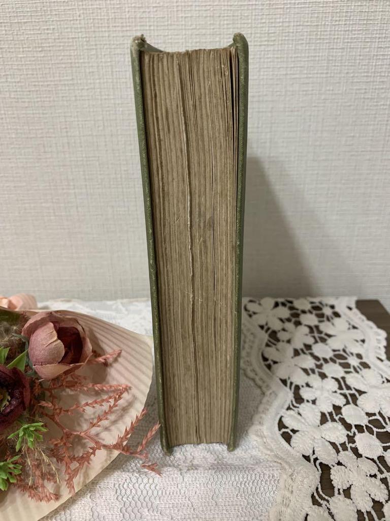 [USED] Antique British book "The Heroine of a Basket Van