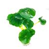 1 PC Plastic Lotus Leaf Grass Plants Artificial Aquarium Decorations Plants Fish Tank Grass Flower Ornament Decor