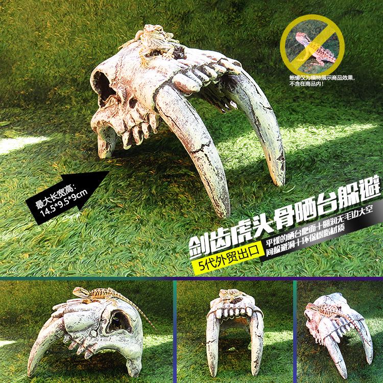 Akril Hüllőtenyésztő Doboz Dekoratív Koponyával