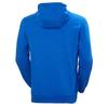 Helly Hansen Salt худи