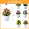Artificial Causonis Japonica Plant Decor For Living Room Home Office Indoor Decoration