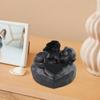 Pet Cremation Memorial Urn Display Keepsake Organizer Sympathy Case Memories Souvenir