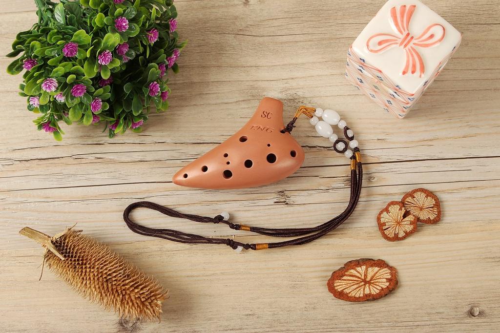 TNG Mini Ocarina [NecklaceBrown12-Hole] Premium Necklace, Single Soprano Ocarina in C Key, for Brass Instruments, Purple Sand
