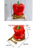 Parrot Cage Anti-Spill Water & Food Feeder Set for Cockatiels and Budgies