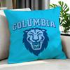Brand Columbia Cushion Cover Cushion Cover Set Pcs X X X Pillowcase Decorative Sofa Home Decor