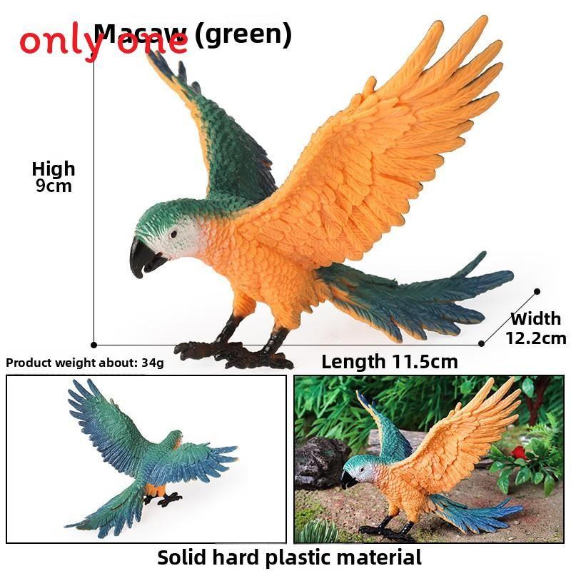 Animal Model Wildlife Solid Plastic Parrot And Hornbill Figures For Kids Gift