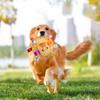 Plüsch-Hundespielzeugball mit Gesang, lustiges interaktives Haustierspielzeug mit Glöckchen, Zahnreinigungs-Kauspielzeug für kleine und große Hunde, Katzen, Welpenspielzeug