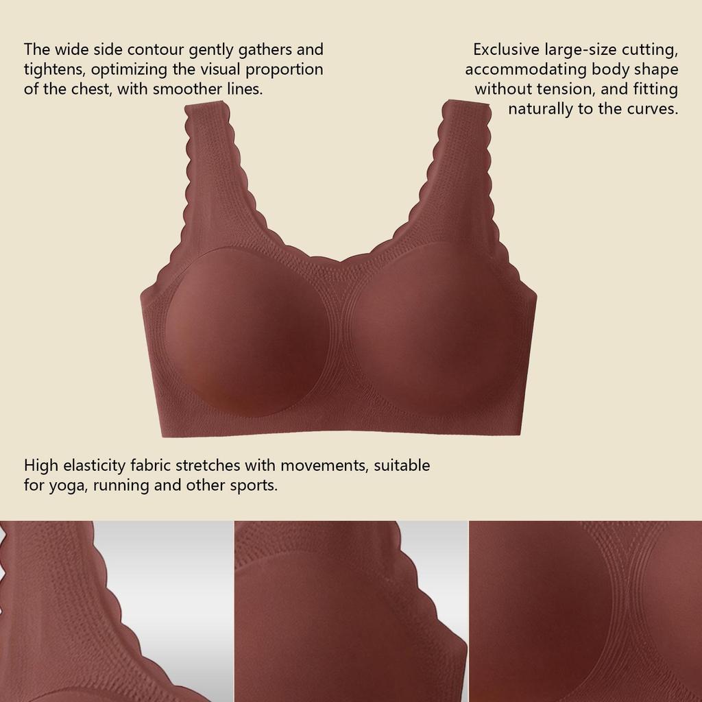 Zeriluna Lace Comfort Bra with Fan-Edged Detail & Wide Straps - Everyday Wear