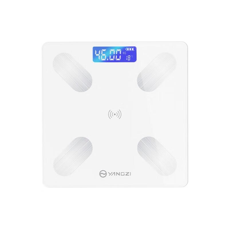 

Yangzi Smart Digital Body Fat Scale (CN version)