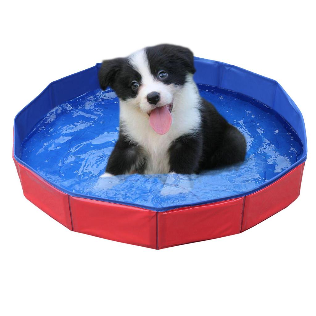 Foldable Pet Pool for Dogs, Cats & Kids