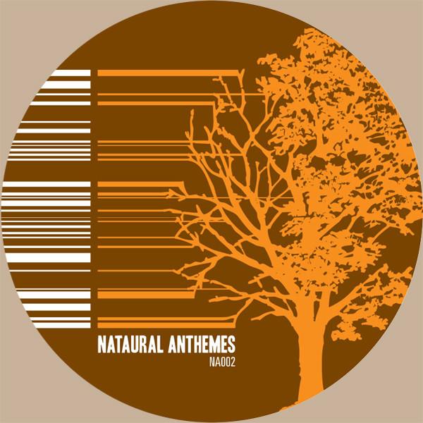 

12inch Record VARIOUS - Antheme 02: Studies In Detailed Des NA002 Nataural Anthem 2005 US Dance & Electronica Used
