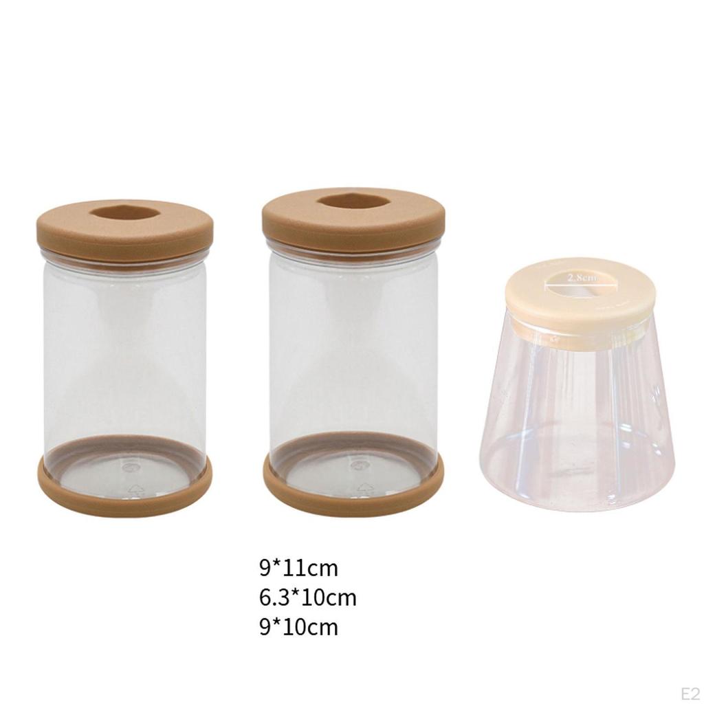 3Pcs Hydroponics Flower Vases Transparent Pots Home Decoration Ornament Trendy Plants