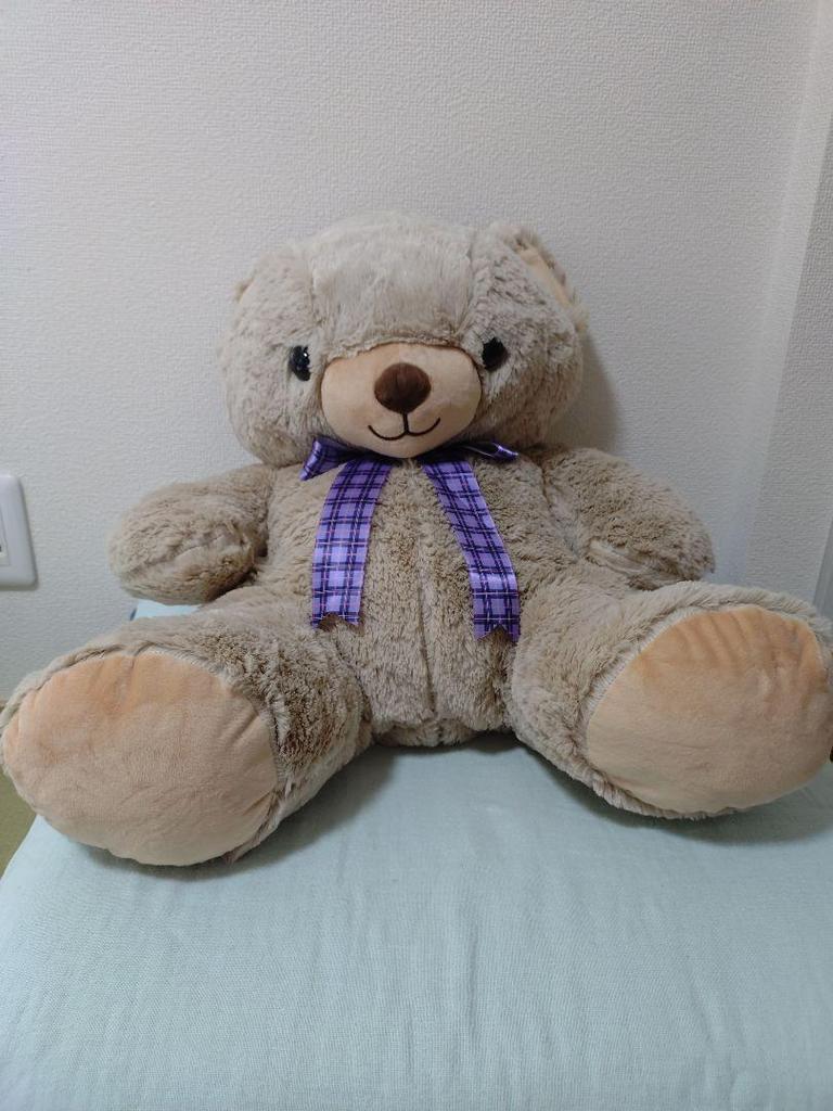 [USED] Bear Stuffed Toy Teddy Bear