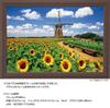 Yanoman [Made in Japan] 108-Piece Jigsaw Puzzle, Large Pieces, Japanese Landscape: Dutch Windmills and Sunflowers, Chiba (26x38cm), 01-2082, Includes