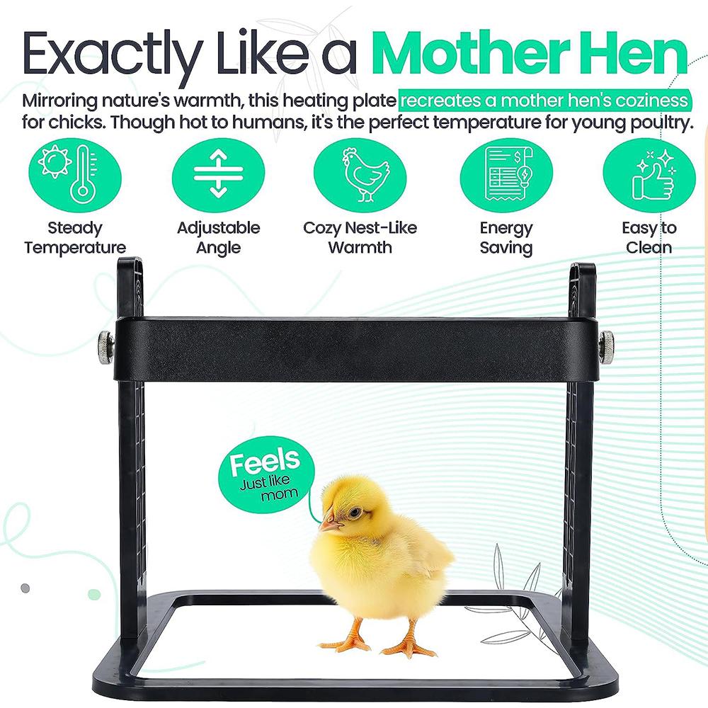 Chicken Brooder Heater 12 X 12 Inches Poultry Heating Plate for 15 Chicks Warmer with Constant