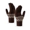 Gloves Women's Winter Velvet Thickened Korean Version Cold-proof Cute Riding Touch Screen Warm Wool Knitted Gloves