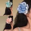 Unique Beach Large Hair Claw Clip Ponytail Claw Beach Hair Holder Barrettes Hair Adornment Hair Ornaments